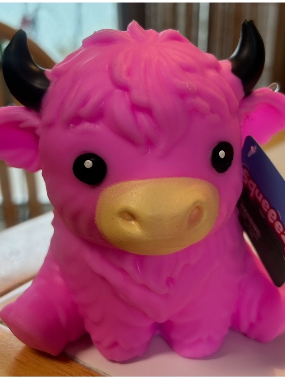 Highland Cow Pink Sqeeezy by Sunny Days